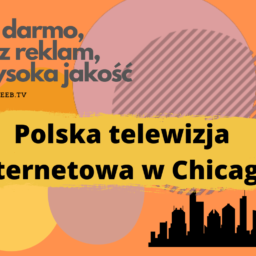 Polska telewizja internetowa w Chicago
