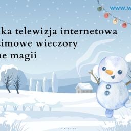 Polska telewizja internetowa