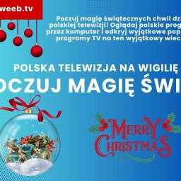 Polska telewizja