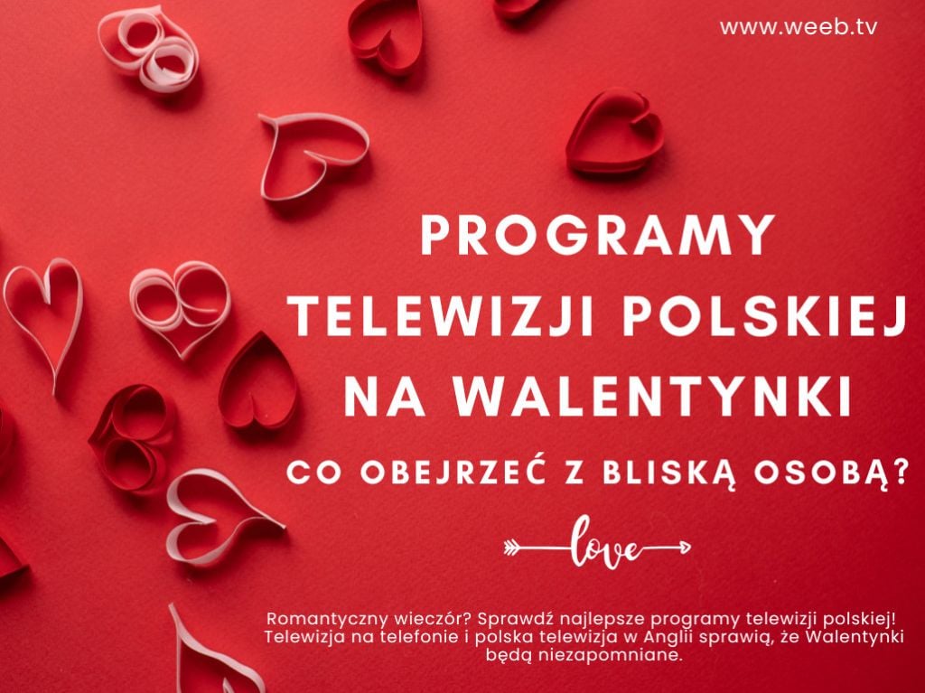 Programy telewizji polskiej