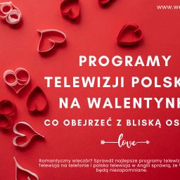 Programy telewizji polskiej