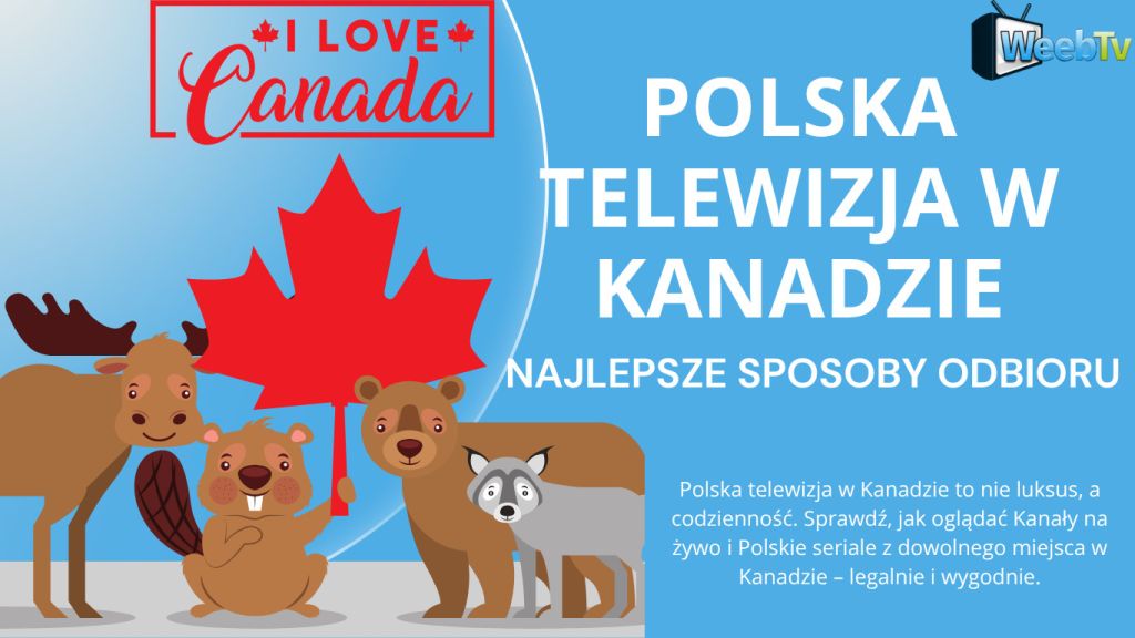 Polska telewizja w Kanadzie – najlepsze sposoby odbioru