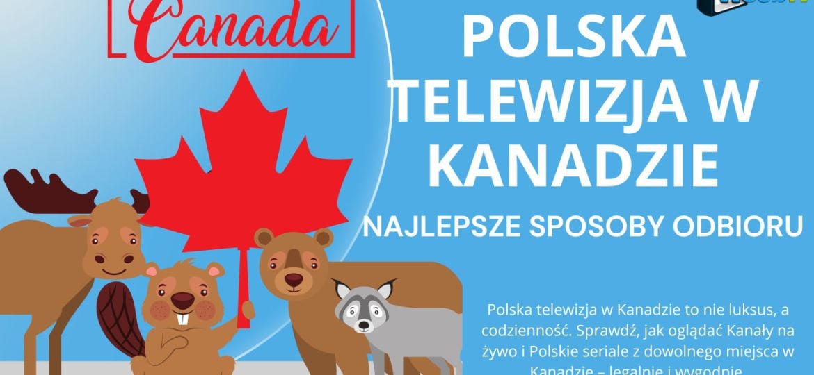 Polska telewizja w Kanadzie – najlepsze sposoby odbioru