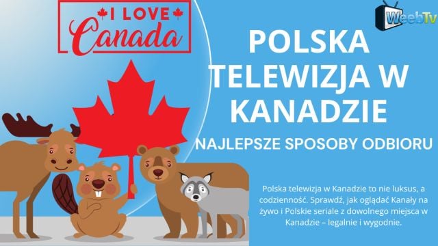 Polska telewizja w Kanadzie – najlepsze sposoby odbioru
