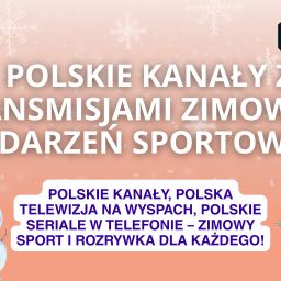 Polska telewizja przez internet