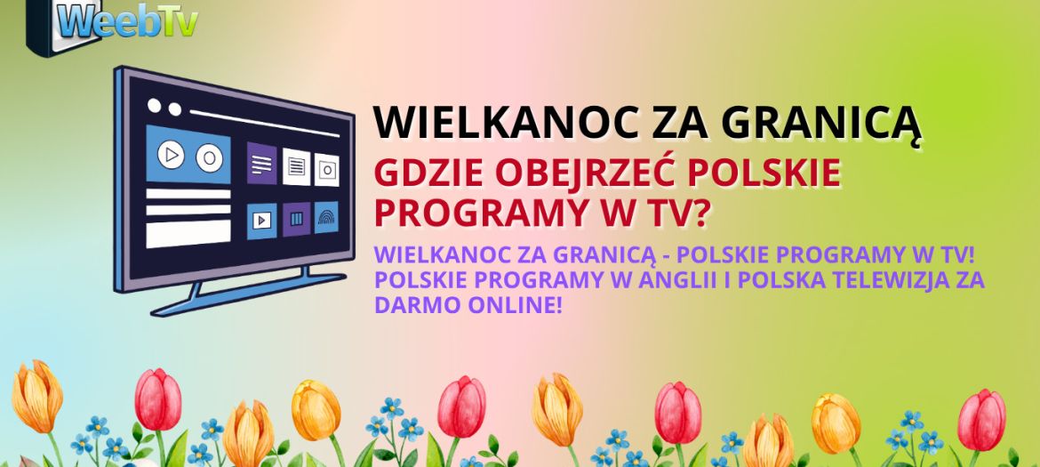 polskie programy w TV